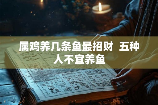 属鸡养几条鱼最招财  五种人不宜养鱼