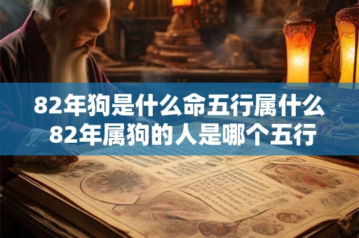 82年狗是什么命五行属什么 82年属狗的人是哪个五行属性 82年狗是什么命五行属什么 82年属狗的人是哪个五行属性