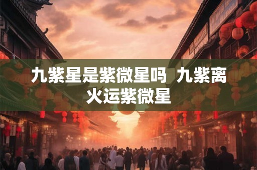 九紫星是紫微星吗  九紫离火运紫微星