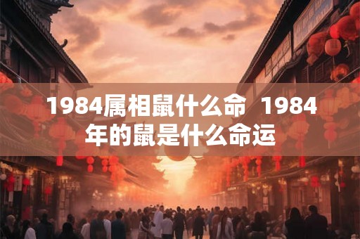 1984属相鼠什么命  1984年的鼠是什么命运