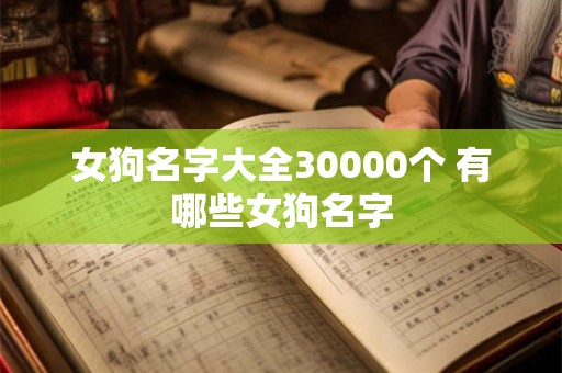女狗名字大全30000个 有哪些女狗名字 女狗名字大全30000个 有哪些女狗名字