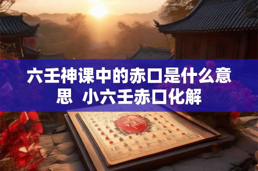 六壬神课中的赤口是什么意思  小六壬赤口化解