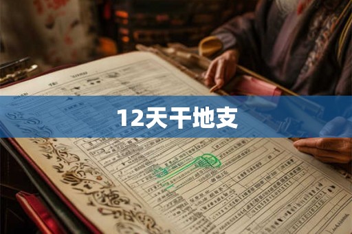 12天干地支