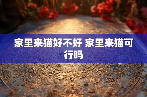 家里来猫好不好 家里来猫可行吗