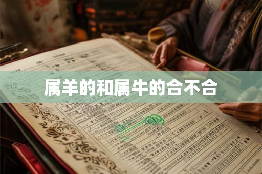 属羊的和属牛的合不合