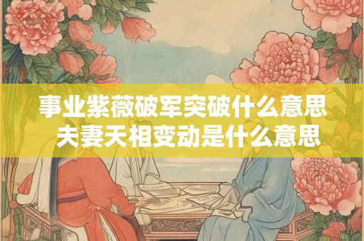 事业紫薇破军突破什么意思  夫妻天相变动是什么意思