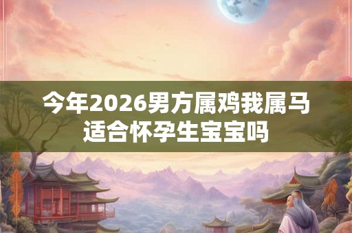 今年2026男方属鸡我属马适合怀孕生宝宝吗