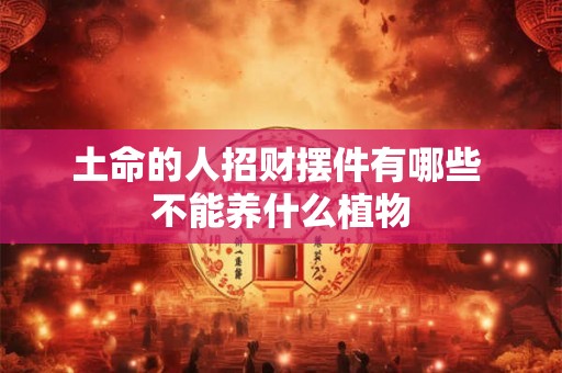 土命的人招财摆件有哪些 不能养什么植物