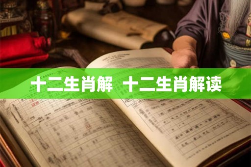 十二生肖解  十二生肖解读