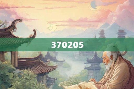 370205