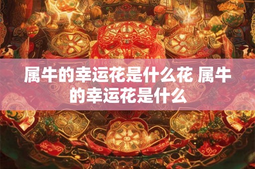 属牛的幸运花是什么花 属牛的幸运花是什么