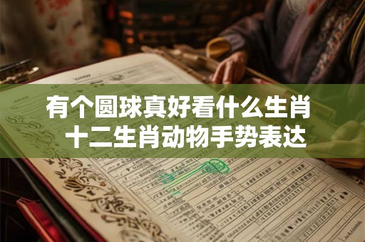 有个圆球真好看什么生肖 十二生肖动物手势表达 有个圆球真好看什么生肖 十二生肖动物手势表达