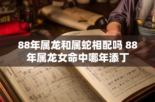 88年属龙和属蛇相配吗 88年属龙女命中哪年添丁
