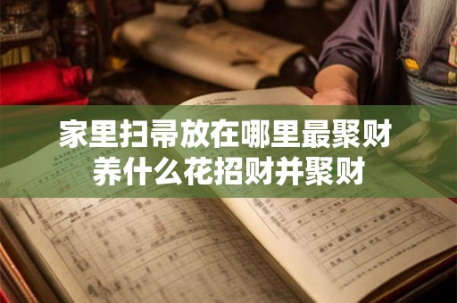 家里扫帚放在哪里最聚财 养什么花招财并聚财 家里扫帚放在哪里最聚财 养什么花招财并聚财