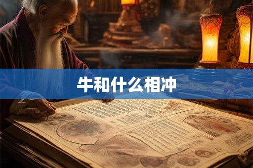 牛和什么相冲