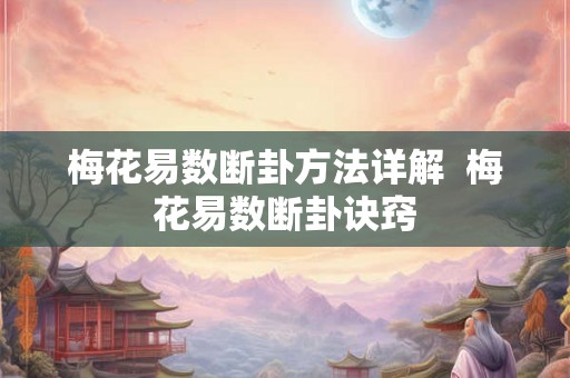 梅花易数断卦方法详解 梅花易数断卦诀窍 梅花易数断卦方法详解 梅花易数断卦诀窍