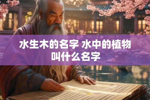 水生木的名字 水中的植物叫什么名字