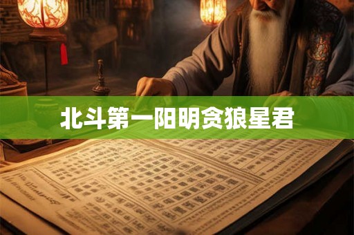 北斗第一阳明贪狼星君