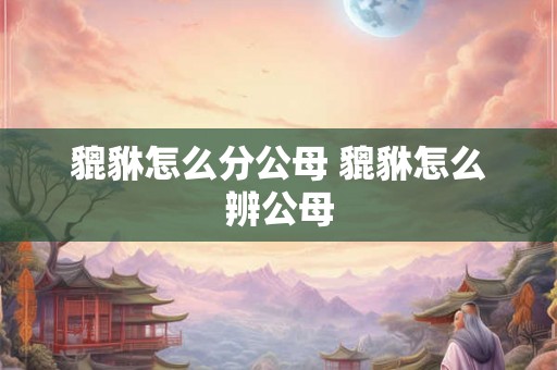 貔貅怎么分公母 貔貅怎么辨公母