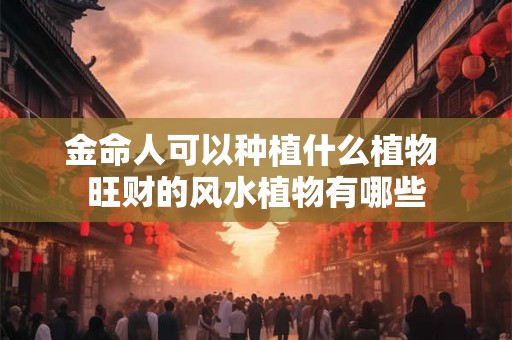 金命人可以种植什么植物 旺财的风水植物有哪些