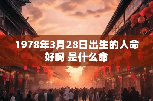 1978年3月28日出生的人命好吗 是什么命