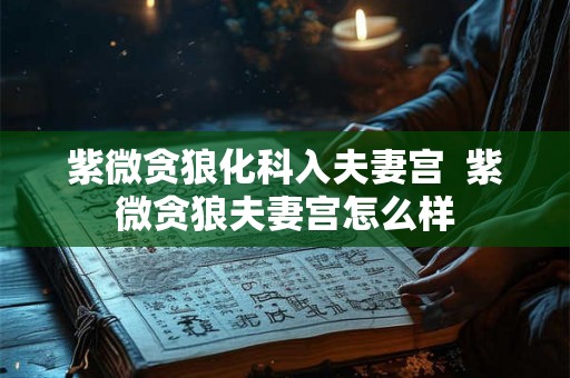 紫微贪狼化科入夫妻宫  紫微贪狼夫妻宫怎么样