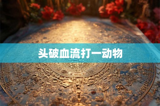头破血流打一动物