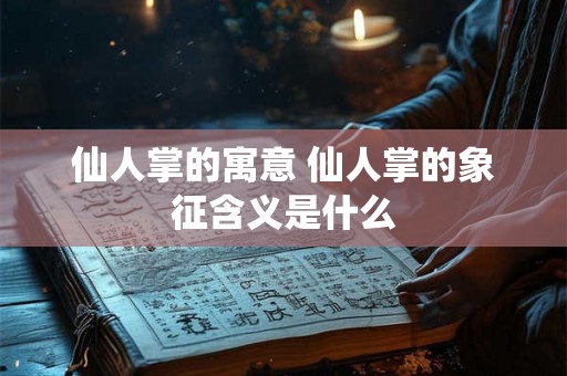 仙人掌的寓意 仙人掌的象征含义是什么