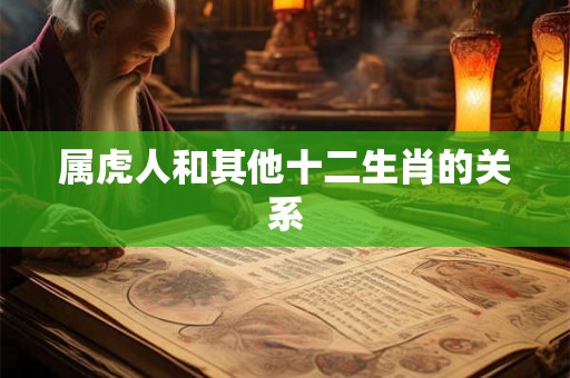 属虎人和其他十二生肖的关系
