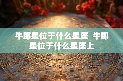 牛郎星位于什么星座  牛郎星位于什么星座上