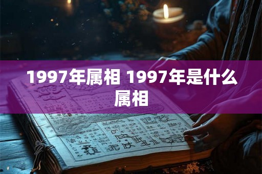 1997年属相 1997年是什么属相