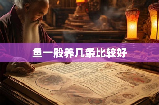 鱼一般养几条比较好