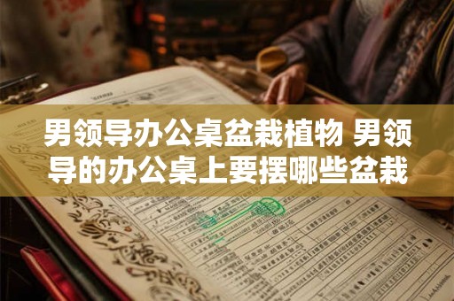 男领导办公桌盆栽植物 男领导的办公桌上要摆哪些盆栽植物