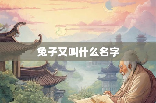 兔子又叫什么名字
