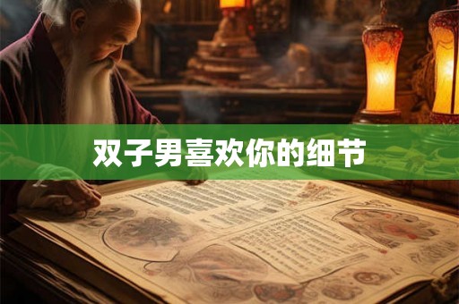 双子男喜欢你的细节