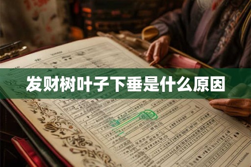 发财树叶子下垂是什么原因 发财树叶子下垂是什么原因