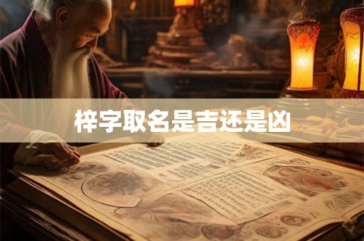 梓字取名是吉还是凶
