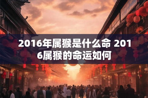 2016年属猴是什么命 2016属猴的命运如何