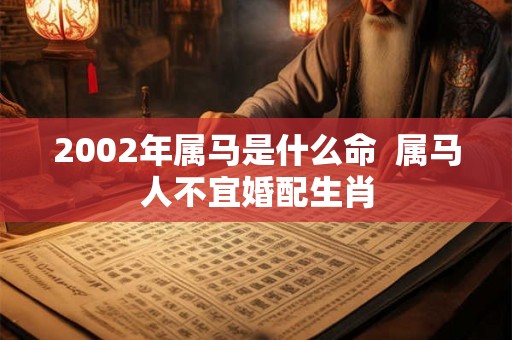 2002年属马是什么命  属马人不宜婚配生肖