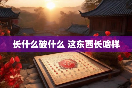 长什么破什么 这东西长啥样 长什么破什么 这东西长啥样