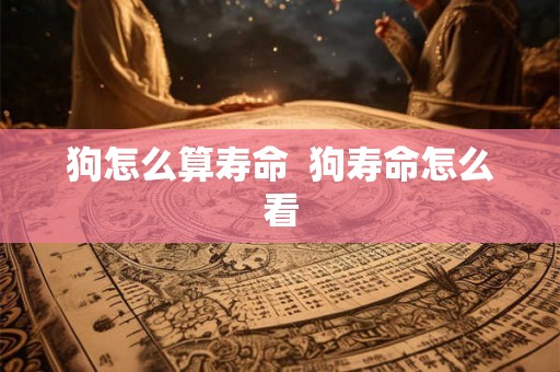 狗怎么算寿命  狗寿命怎么看