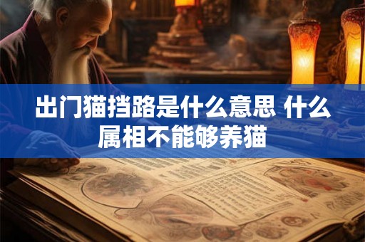 出门猫挡路是什么意思 什么属相不能够养猫
