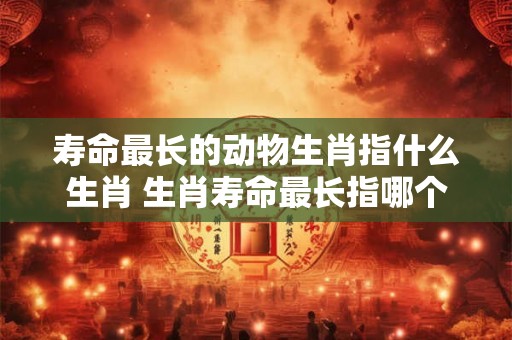寿命最长的动物生肖指什么生肖 生肖寿命最长指哪个