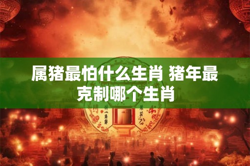 属猪最怕什么生肖 猪年最克制哪个生肖 属猪最怕什么生肖 猪年最克制哪个生肖