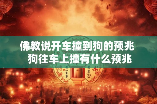 佛教说开车撞到狗的预兆  狗往车上撞有什么预兆