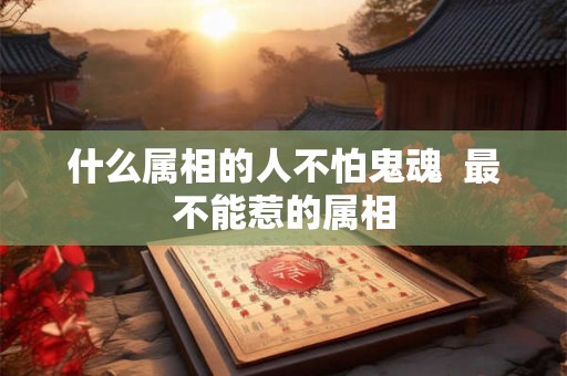 什么属相的人不怕鬼魂 最不能惹的属相 什么属相的人不怕鬼魂 最不能惹的属相