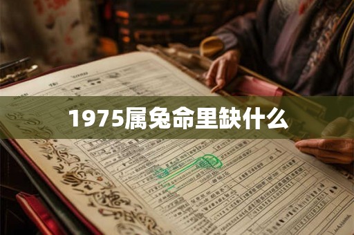 1975属兔命里缺什么
