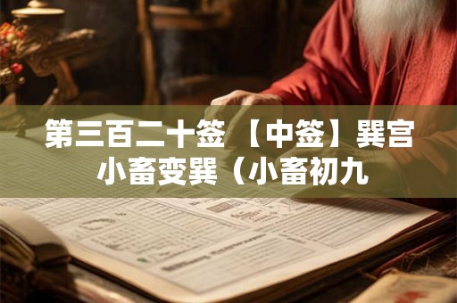 第三百二十签 【中签】巽宫 小畜变巽（小畜初九