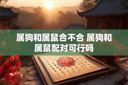 属狗和属鼠合不合 属狗和属鼠配对可行吗 属狗和属鼠合不合 属狗和属鼠配对可行吗
