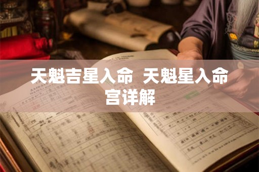 天魁吉星入命  天魁星入命宫详解